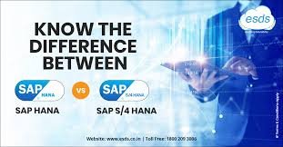 SAP Basis vs SAP HANA: What Every Admin Must Clearly Understand